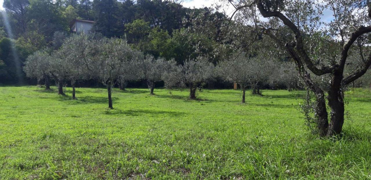 Agricampeggio Borgo Agna 新吉蒂诺瓦达恩 外观 照片