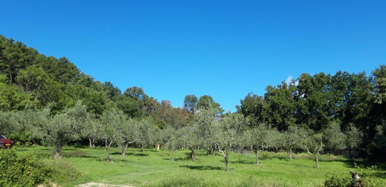 Agricampeggio Borgo Agna 新吉蒂诺瓦达恩 外观 照片